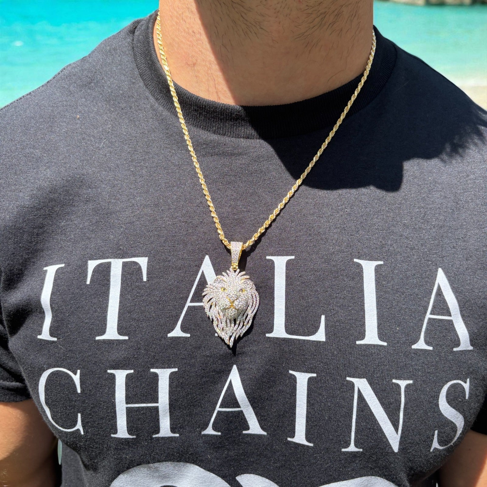 925 Sterling Silver Lion Pendant With Moissanite