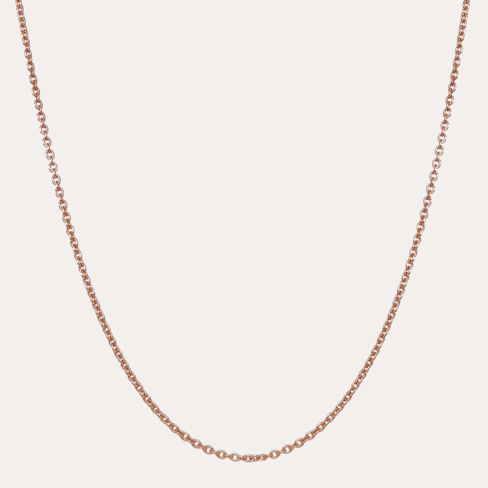 22aa946d-46b1-4d65-81d9-1d808d7c6066