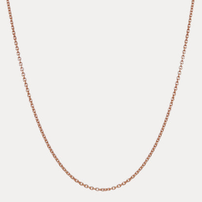 22aa946d-46b1-4d65-81d9-1d808d7c6066